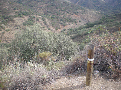 Ruta de Senderismo a la ermita de Santo Domingo .