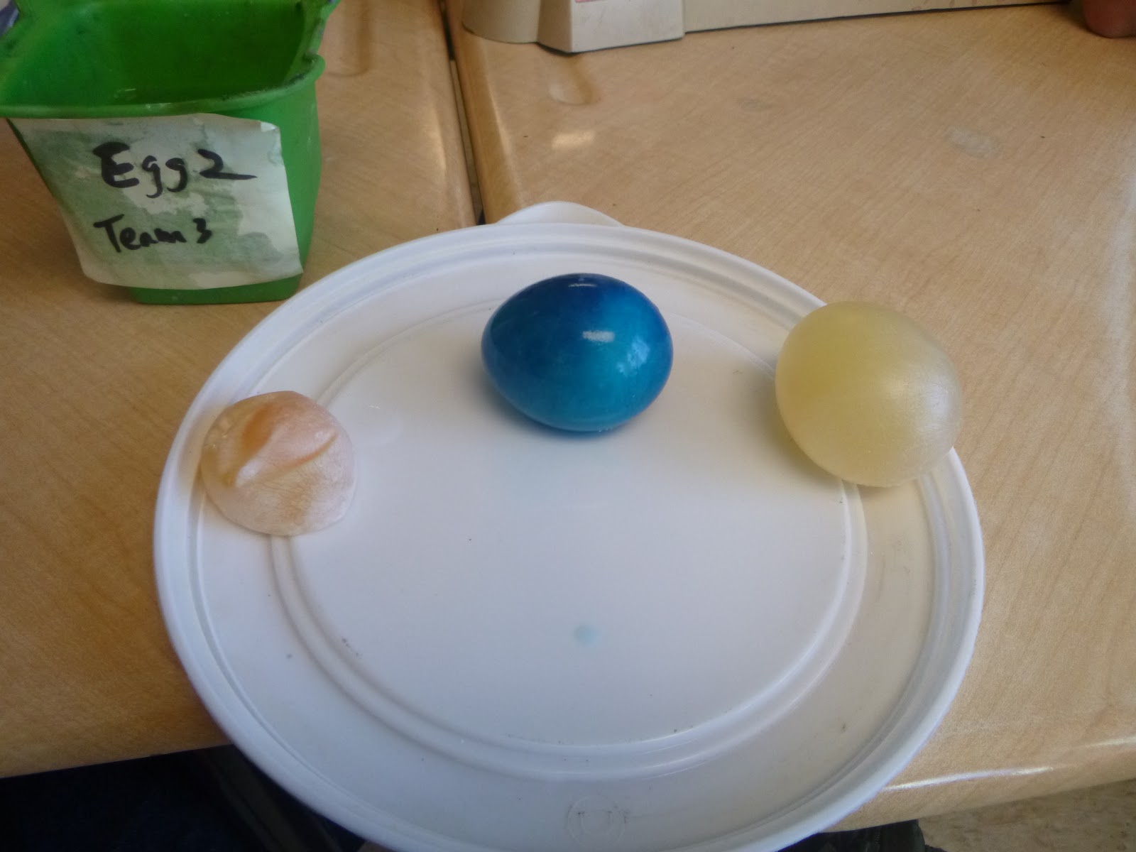 TISA Grade 6 -2017: 7th Grade Science- Osmosis Experiment