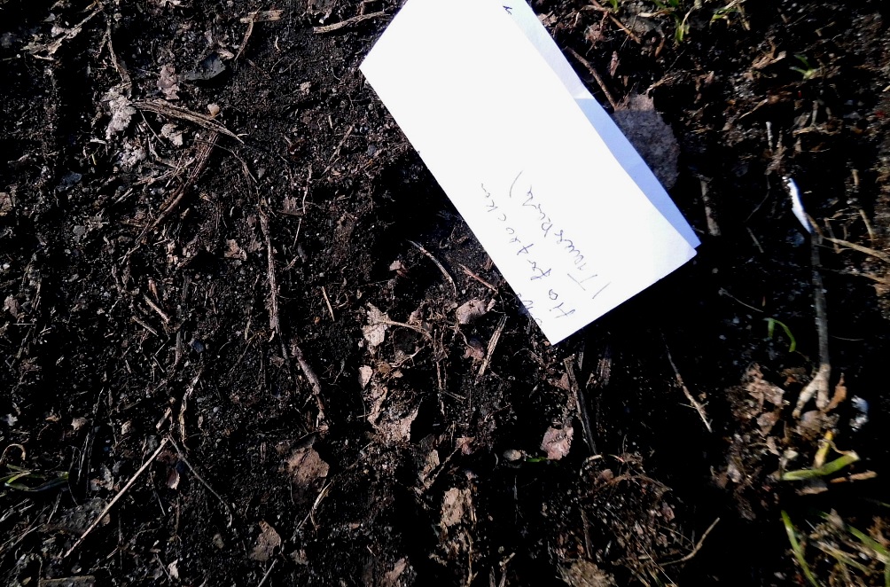 Nachwuchs Literatur Zentrum Ich Schreibe E V April 2018