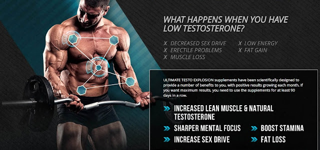 http://supplementsbook.org/ultimate-testo-explosion/