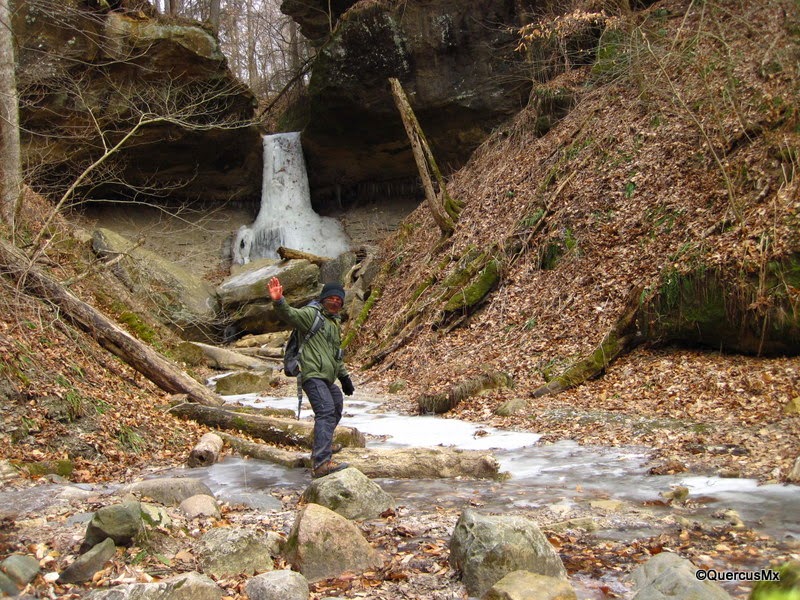 Lost Hikers Turkey Run State Park Una fría excursión
