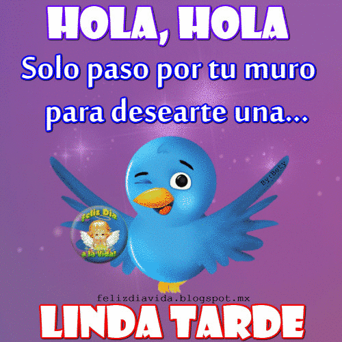 tarde-17.gif