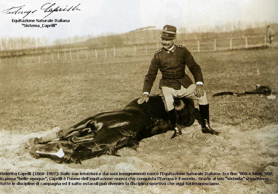 disagio del cavallo paris