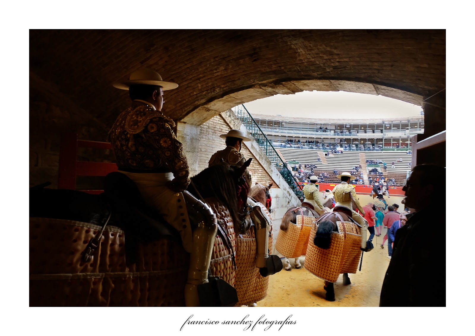 francisco sanchez fotografias HORSE YARD , PATIO DE CABALLOS