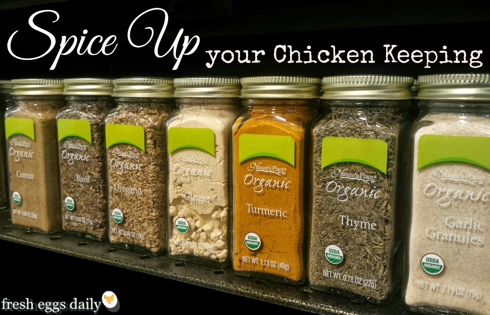 Spice Up your Chicken Keeping for Better Flock Health Fresh Eggs Daily®