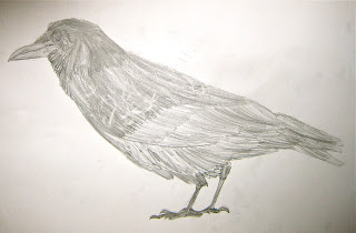 pencil drawing of a rook