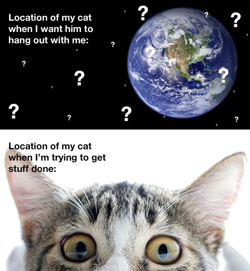 Location Of My Cat - When I Want Him To Hang Out With Me vs When I'm Trying To Get Stuff Done