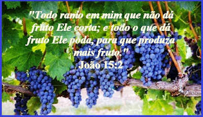 Resultado de imagem para Jo 15,1-8