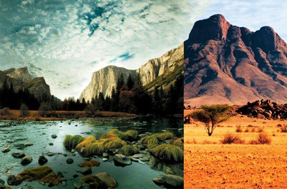 what are biomes