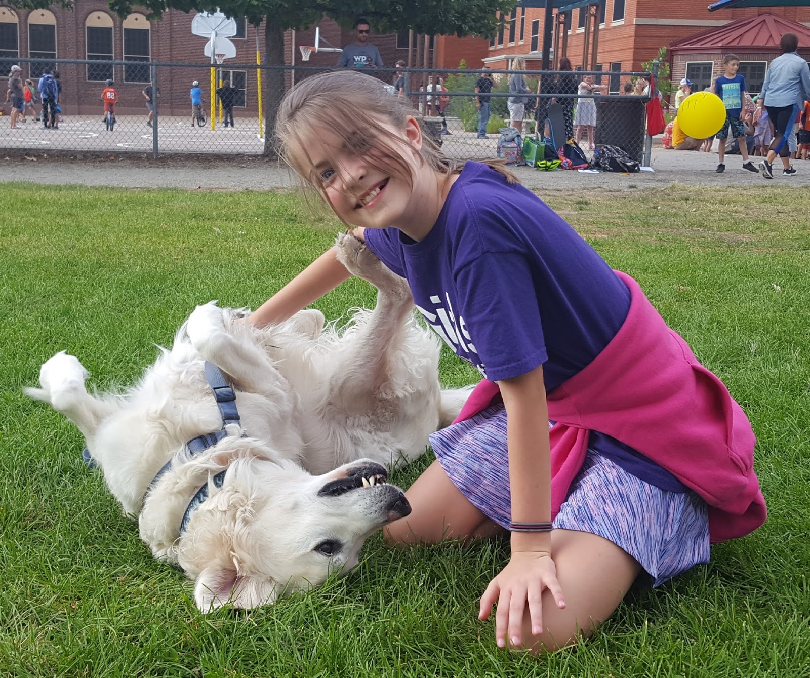 On the Fly Pet Sitting Washington Park Pet Sitter Reviews