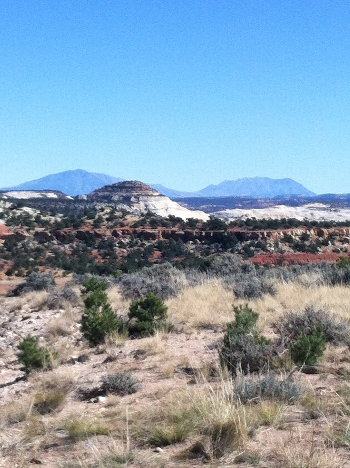 The Moon Hut Project