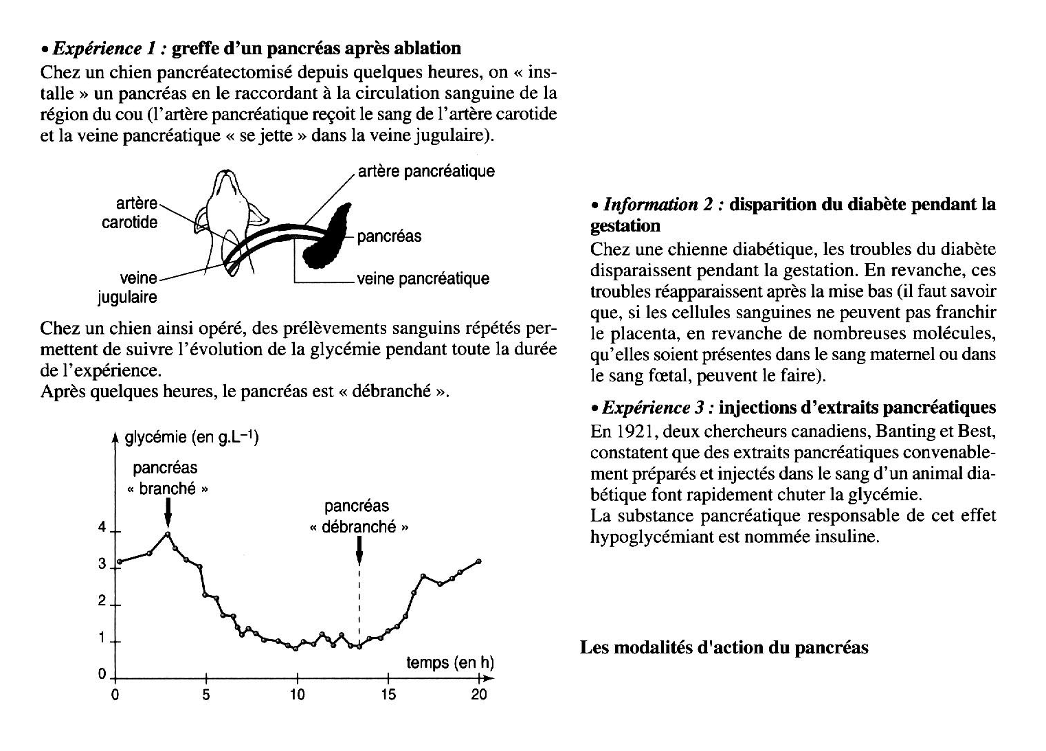 Role Du Pancreas Dans La Régulation De La Glycémie
