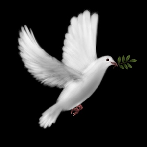 صور عن السلام-أجمل الصور المعبرة عن السلام وأروعها | معلومة في صورة صور عن السلام-أجمل الصور المعبرة عن السلام وأروعها | معلومة في صورة