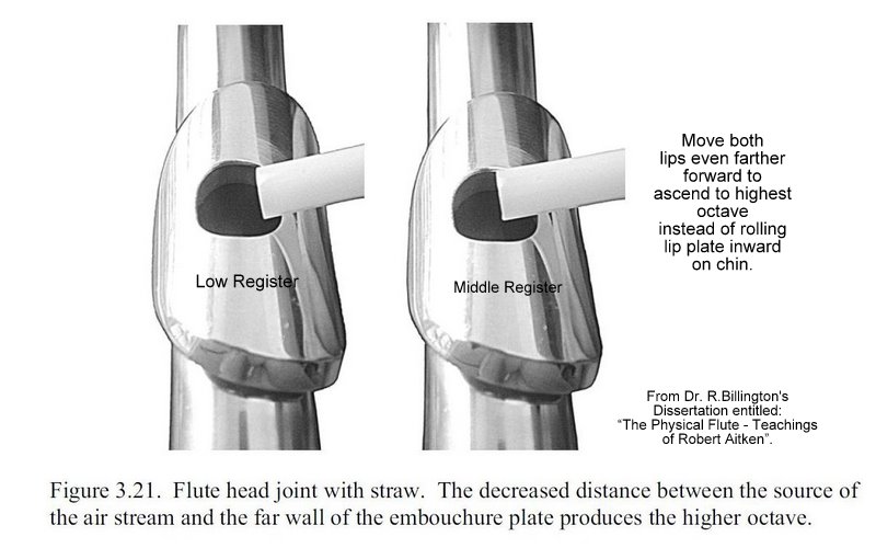 Jennifer Cluff Flute Moves on Chin