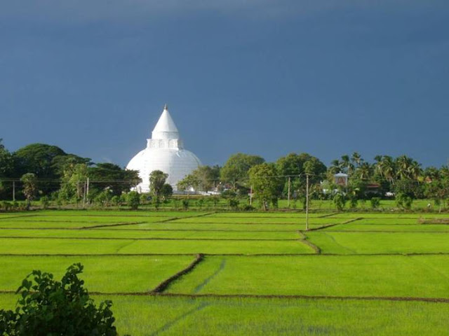 Beautiful Places from Sri Lanka