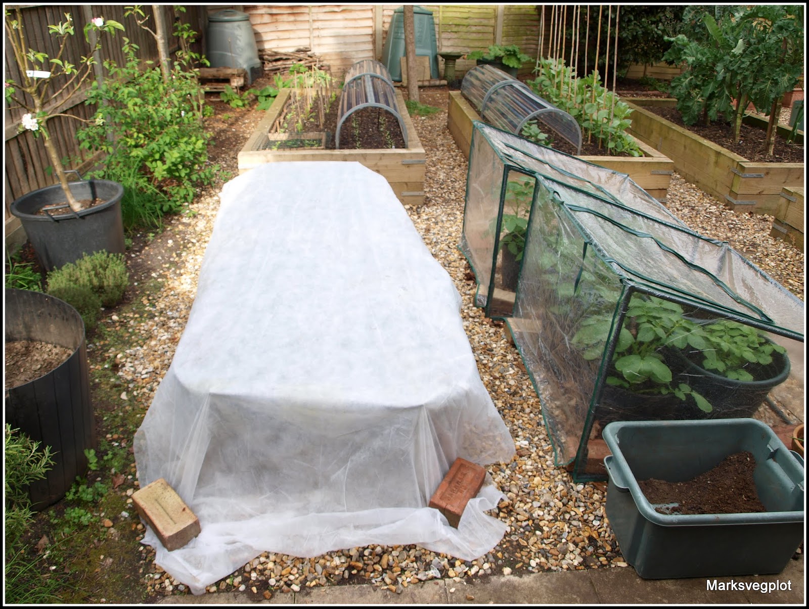 Mark's Veg Plot Frost protection