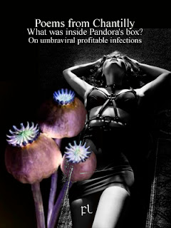 Poems from Chantilly: What was inside Pandora's box? Cover