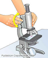 cara menggunakan mikroskop cahaya
