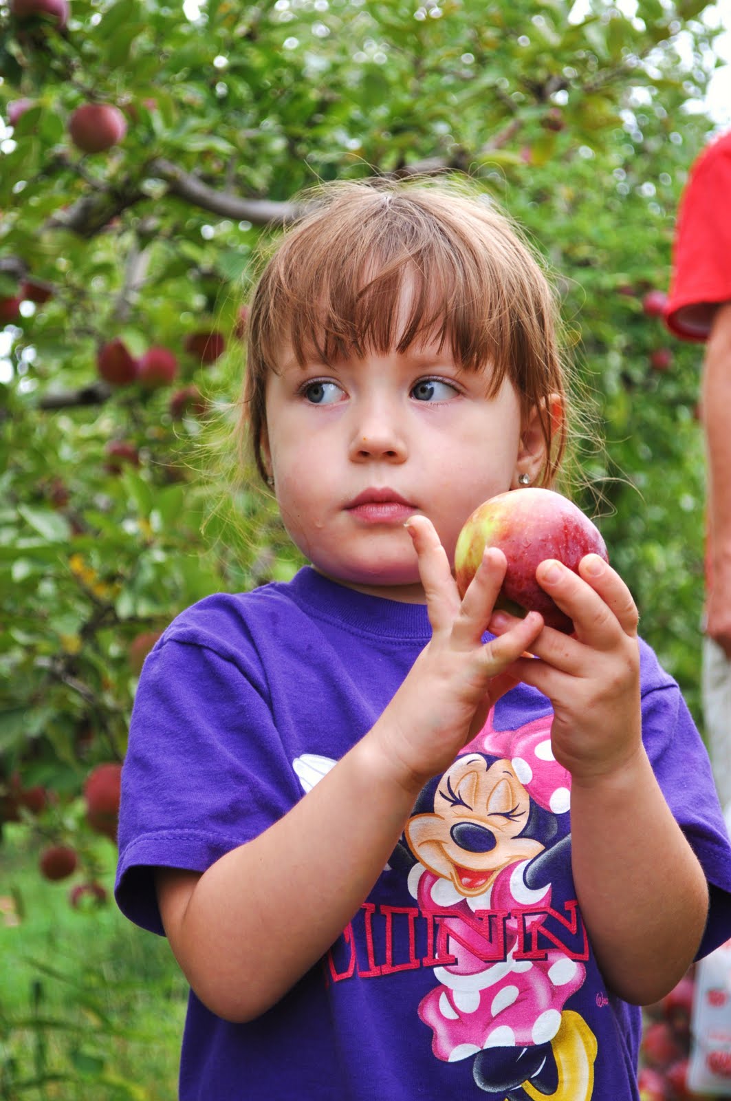 Ryann Lee Photography ApplePicking Escapades