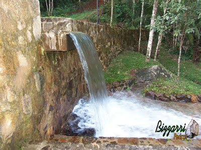 Construção do lago com muro de pedra, cascata de pedra no muro de pedra com a ponte de madeira, gramado com grama São Carlos em construção do lago em Piracaia-SP.