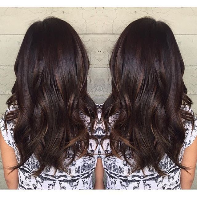 Pengalaman Mewarnai Rambut Hair Dye Di Chandra Gupta Salon Jogja Lemon Juice Story Pengalaman Mewarnai Rambut Hair Dye Di Chandra Gupta Salon Jogja Lemon Juice Story