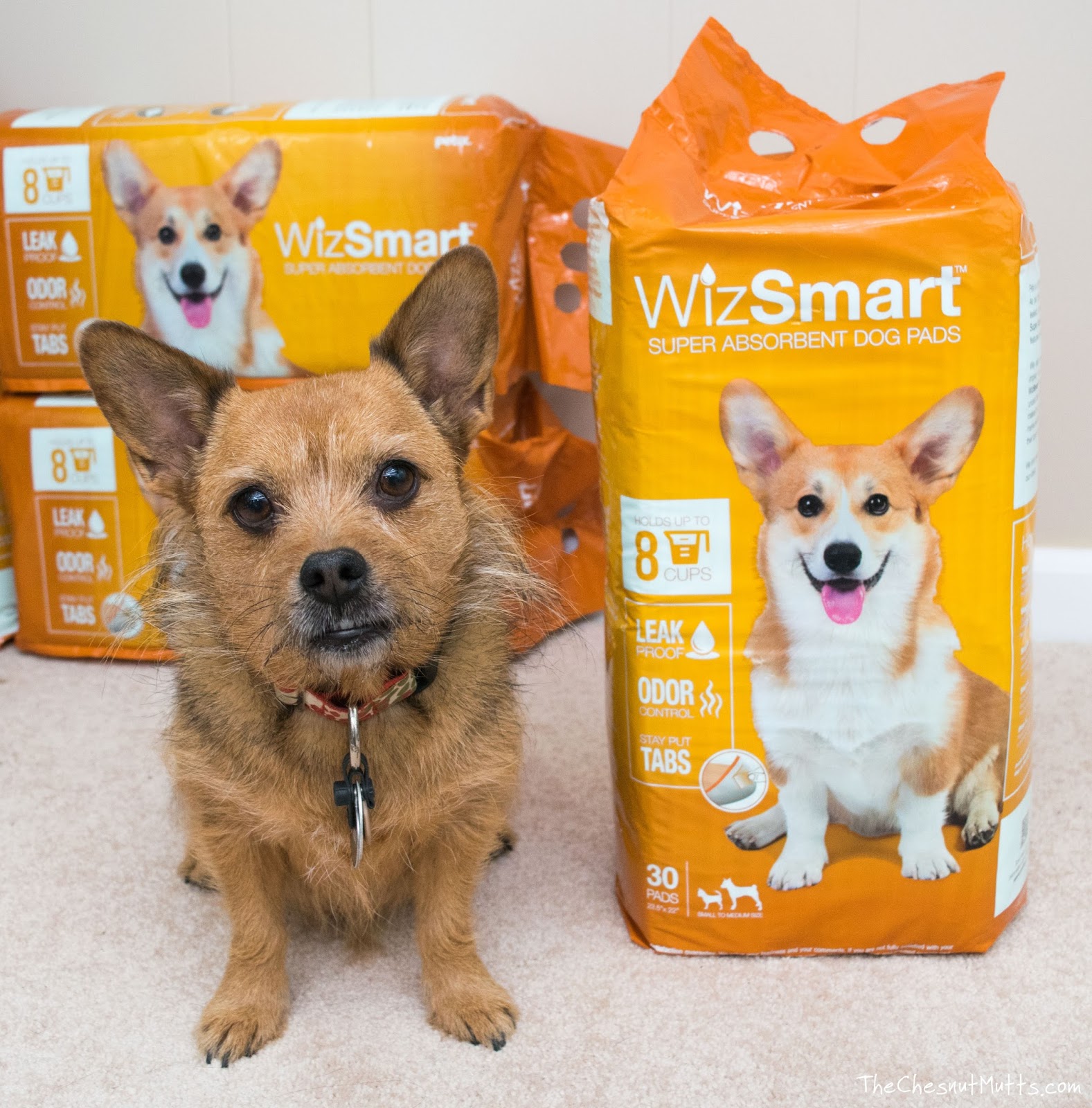 wizsmart pads