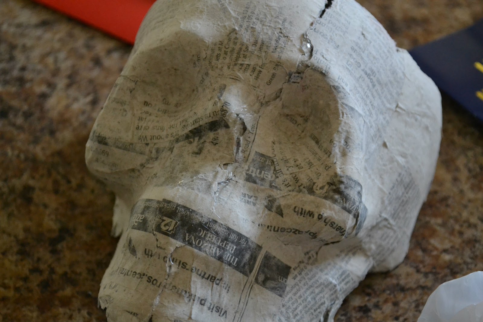 bellapia-designs-paper-mache-skull-of-skeleton-part-1