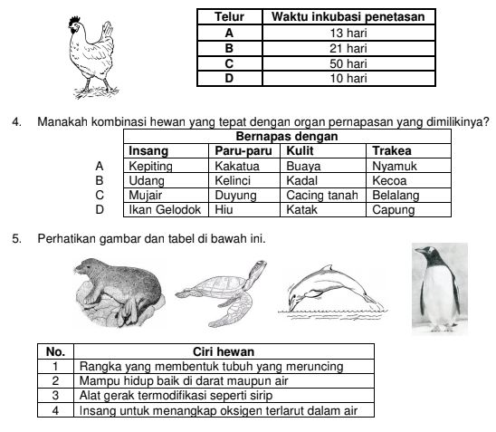 Download Soal Pilihan Ganda Pg Dan Isian Singkat Osn Sd Mi Bidang Ipa Guru Jumi