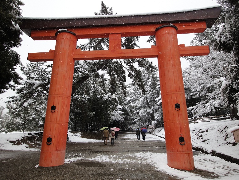 Stardust Talk A snow day in Nara Park