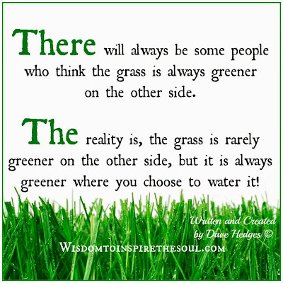 Image result for the grass is always greener on the other side of the fence