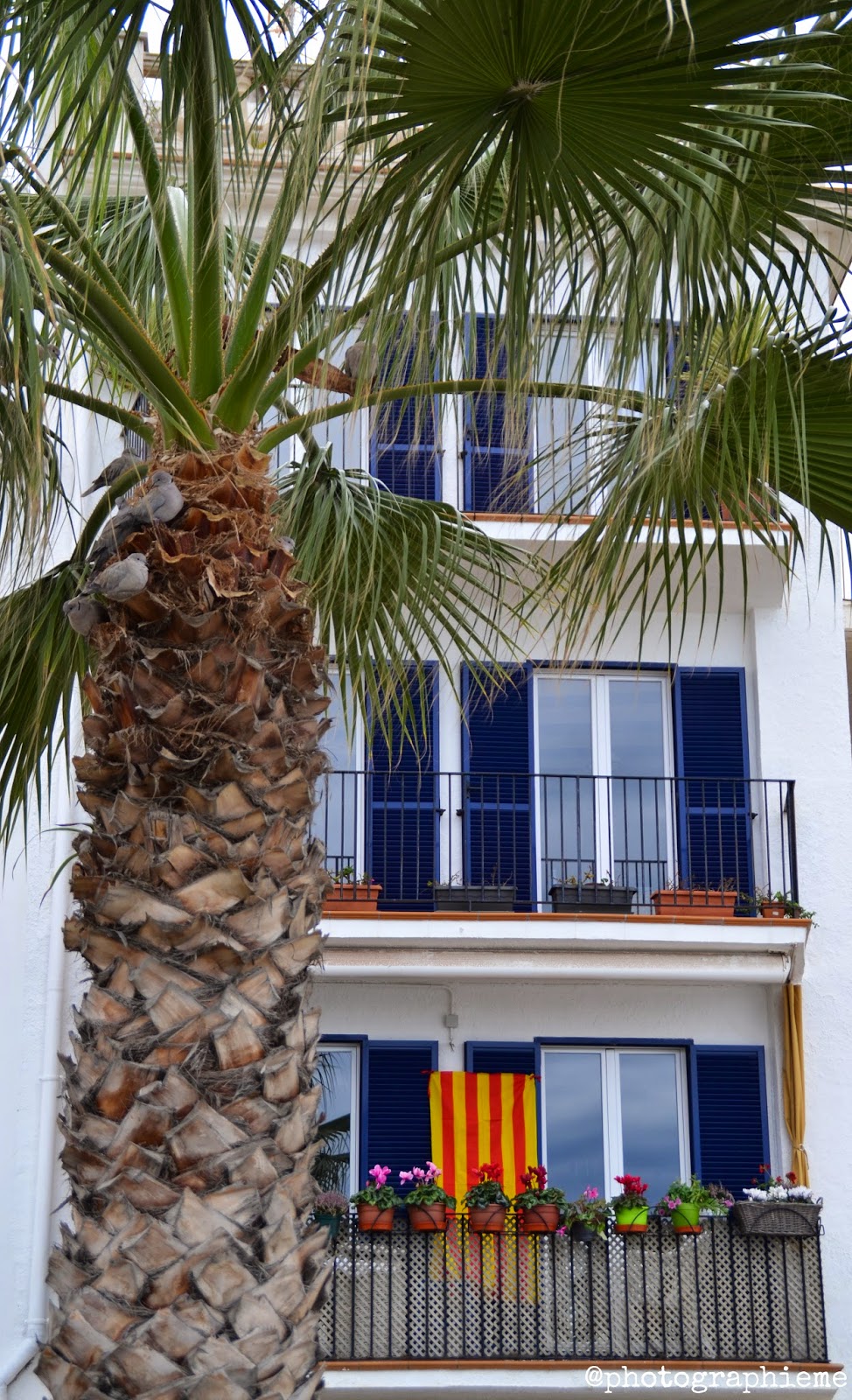 PhotographiEme Enero 2015 photographieme-enero-2015