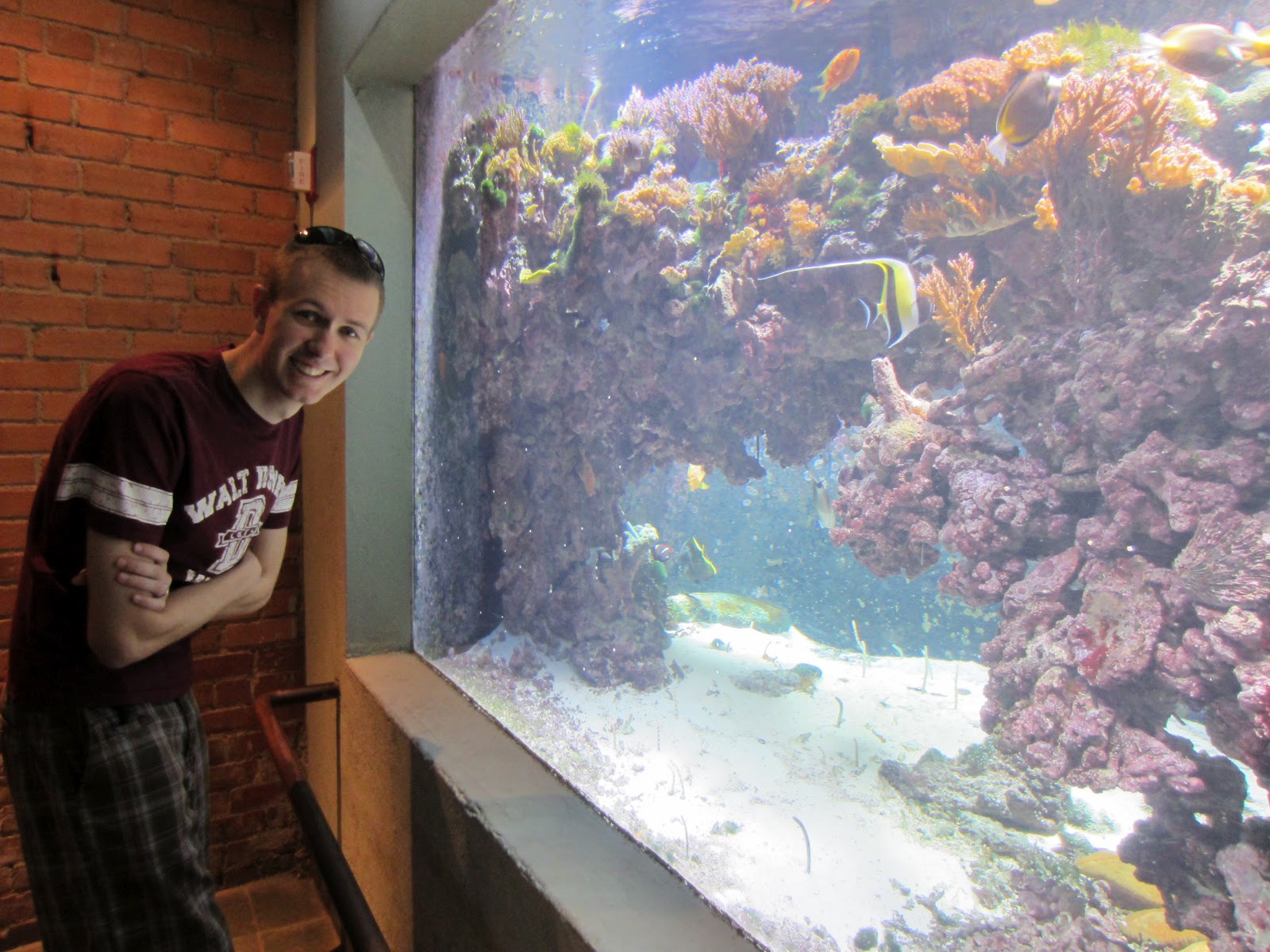 A little bit of everything Dallas World Aquarium