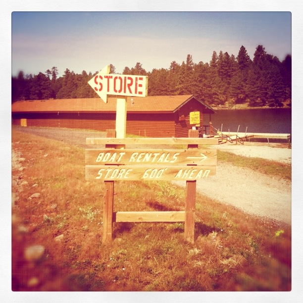 Golden Girl of the West Hawley Lake