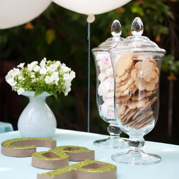 rivernorthLove Charlotte's  Baby Shower