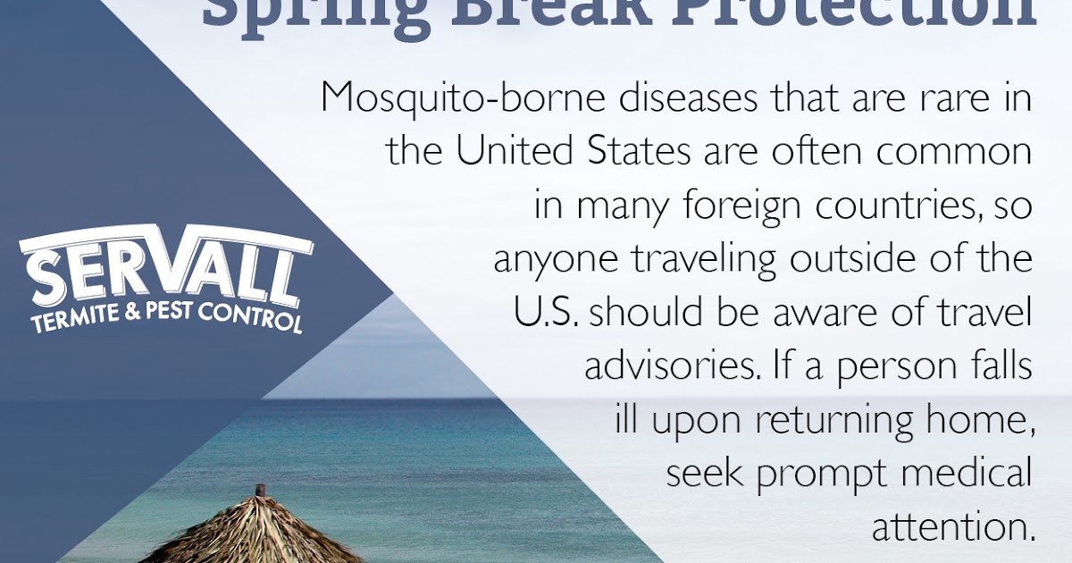 Servall Pest Control: Spring Break Protection