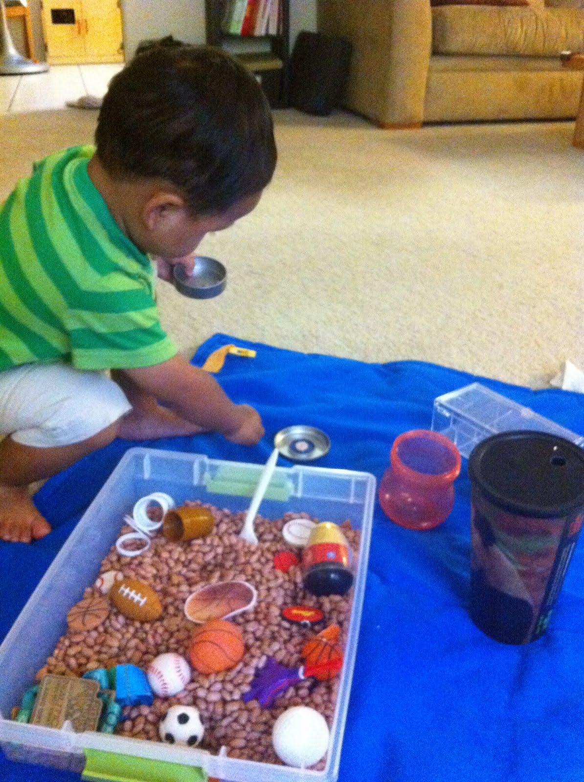 dibble dabble... Sensory Bins Sports & Bugs