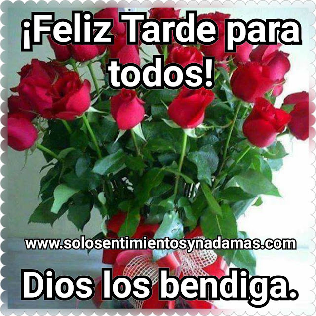 Feliz tarde.