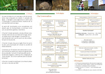 Plano de actividades para 2011-2012