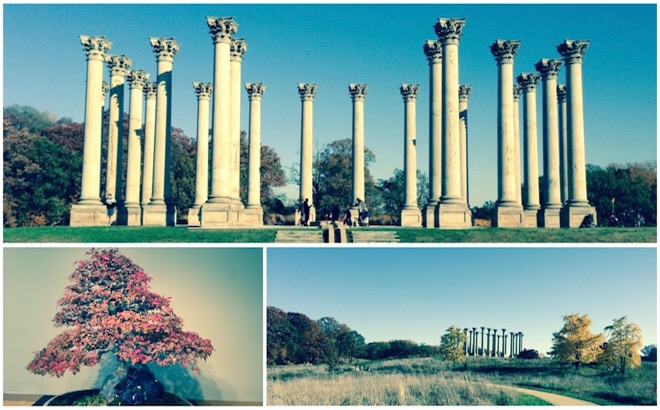 National Arboretum in autumn