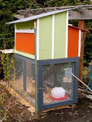 coop chicken ness duck tastic colors cool dog semi