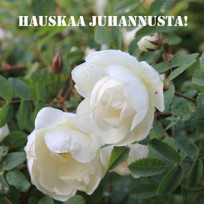 hauskaa juhannusta juhannusruusu