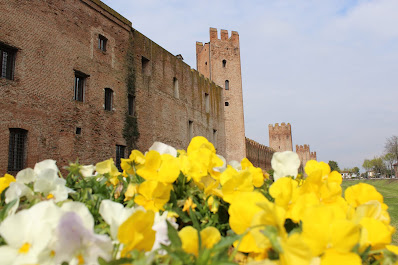 Montagnana, città fortificata provincia di Padova, Montagnana