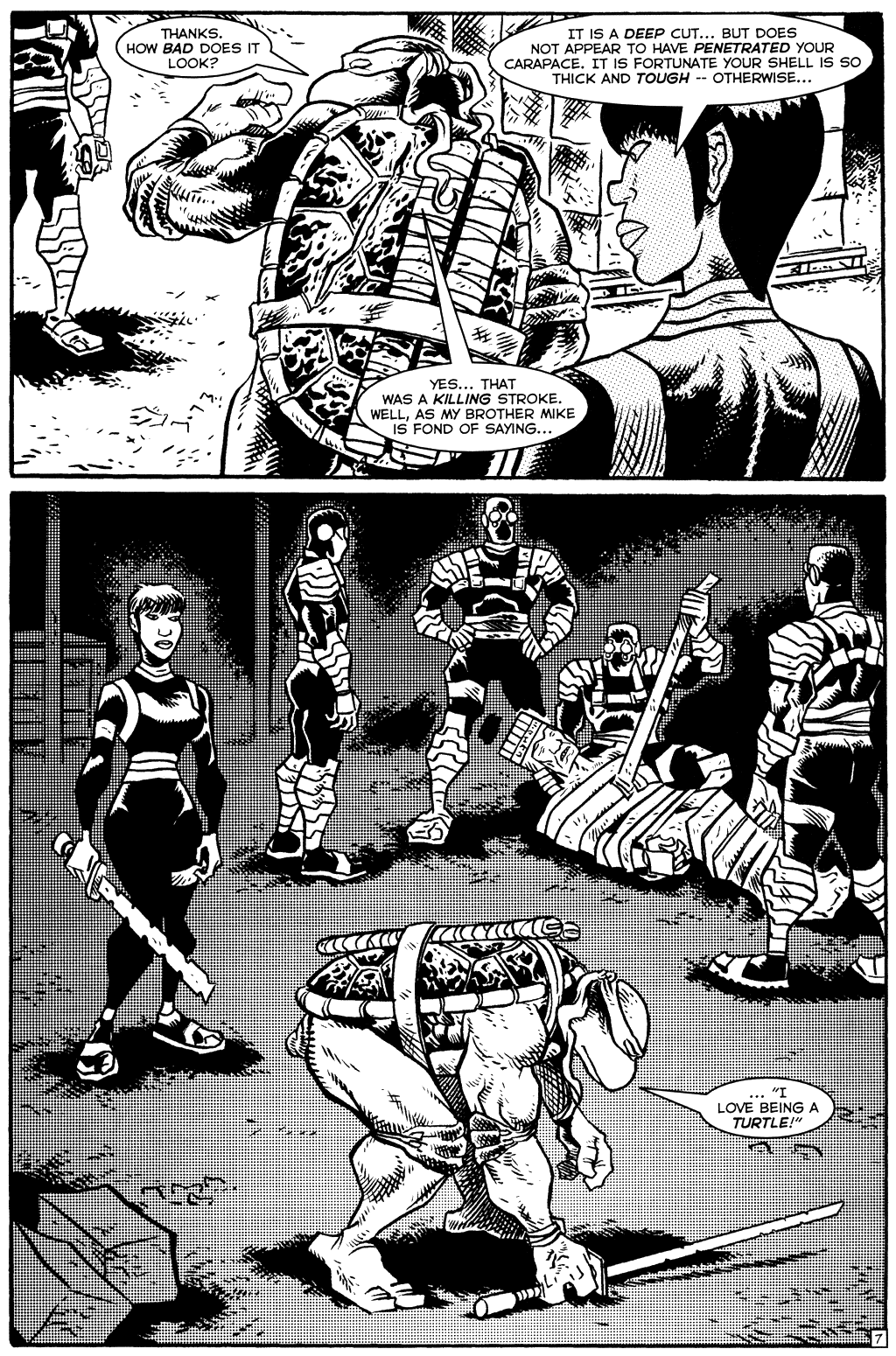 TMNT: Teenage Mutant Ninja Turtles issue 16 - Page 9