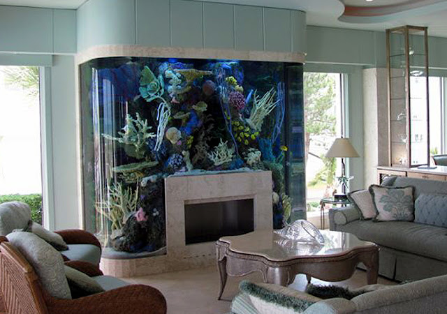 Fish Tank Home