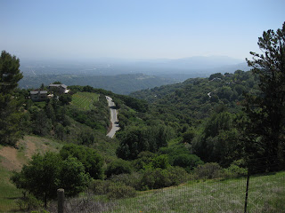 View to the east from Ridge Winery: Montebello Road, hazy valley, and distant hills.