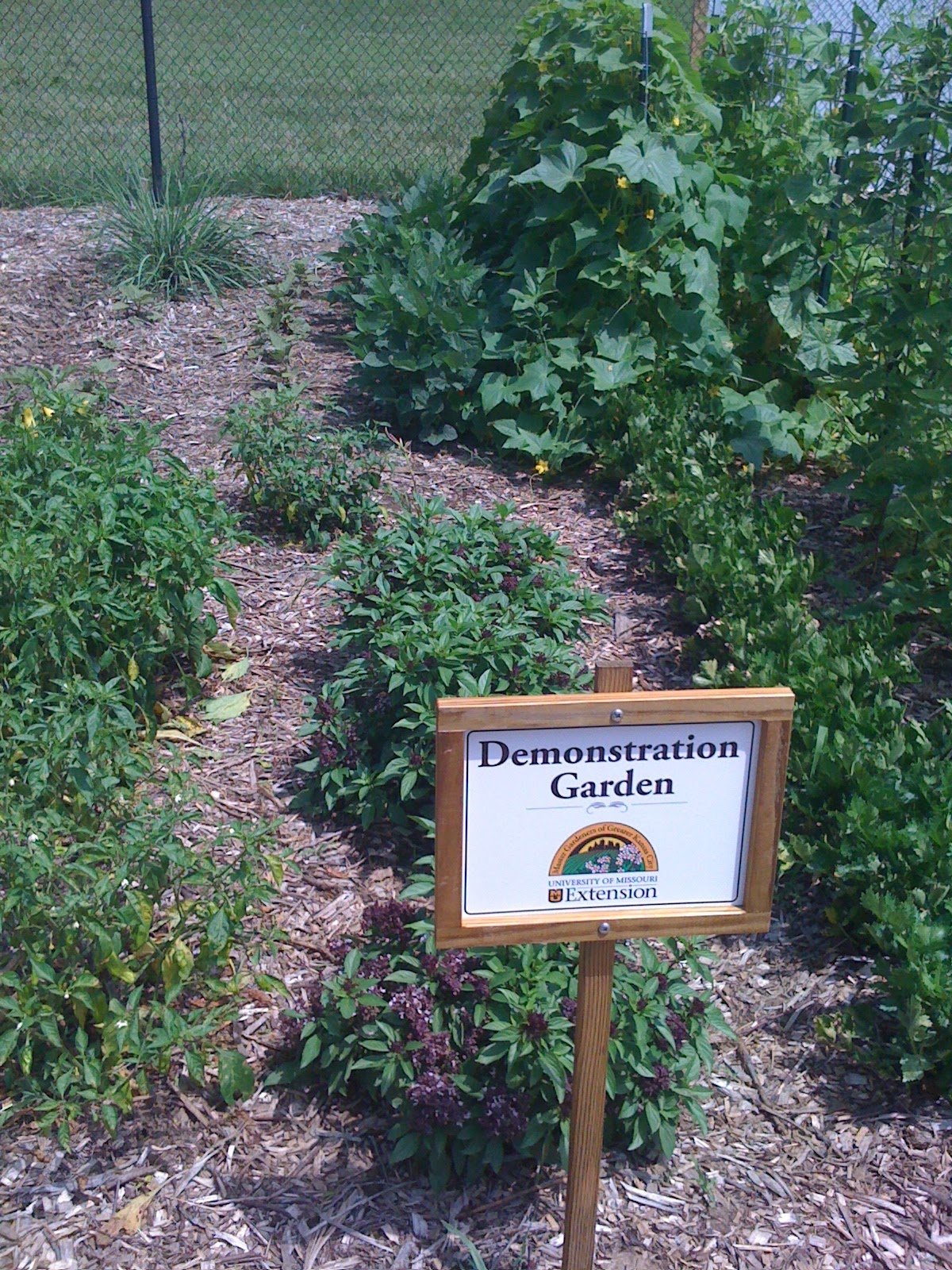 Platte County Community Garden Master Gardener Demonstration Gardens