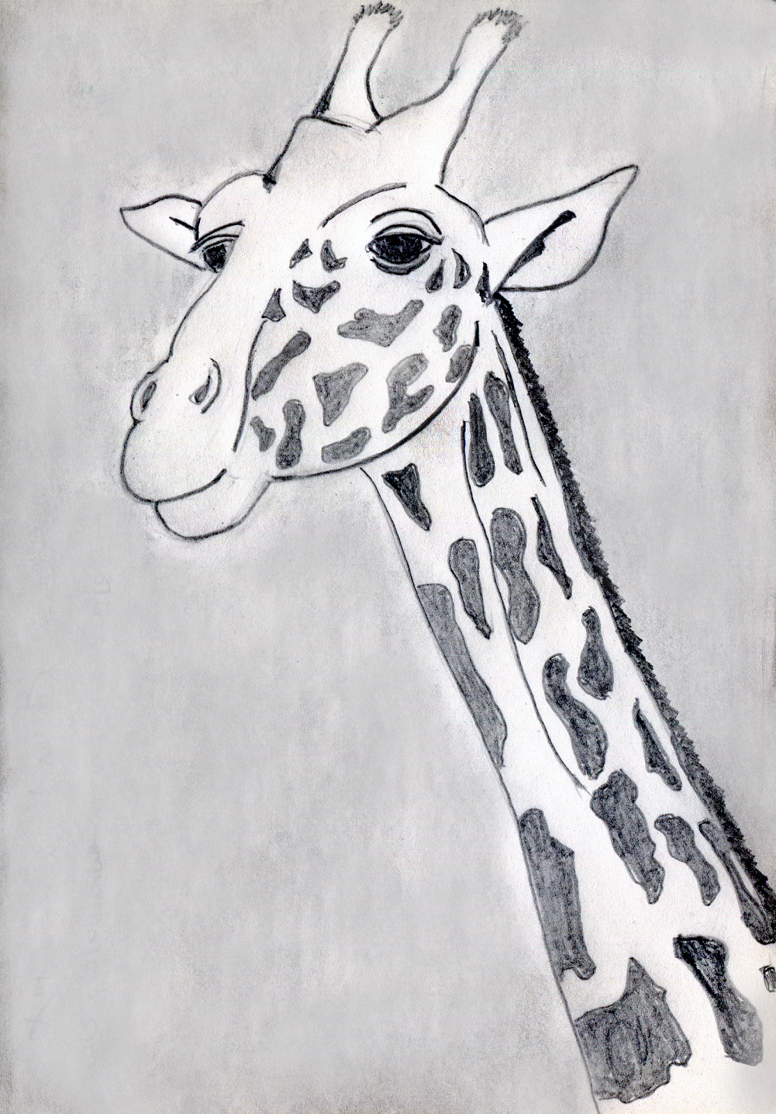 Жираф карандашом для срисовки