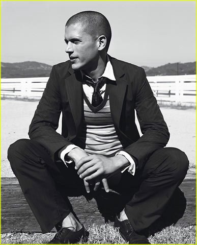 Gatos do Mundo: Wentworth Miller