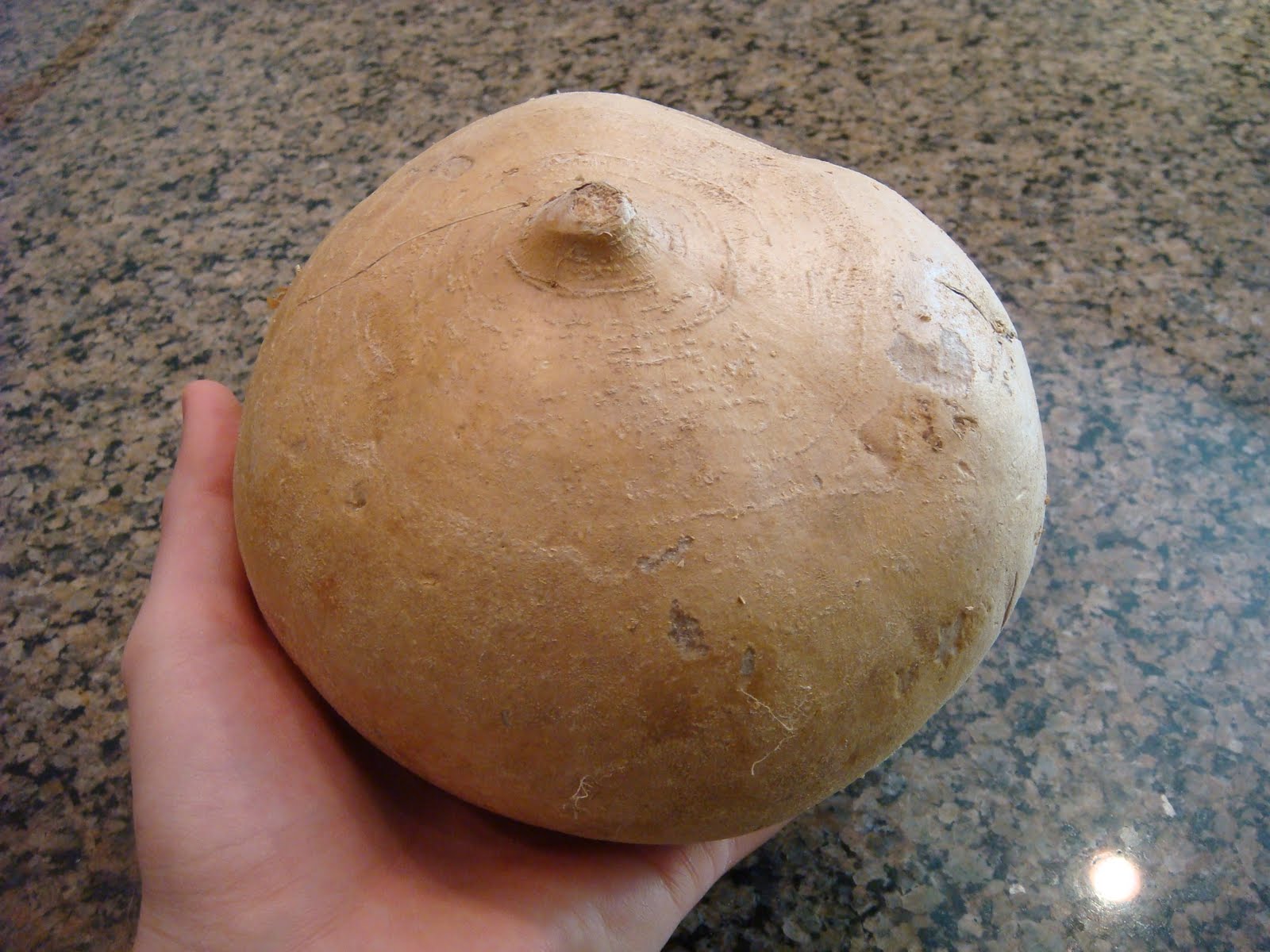 Chef and Househusband: Summer Salads