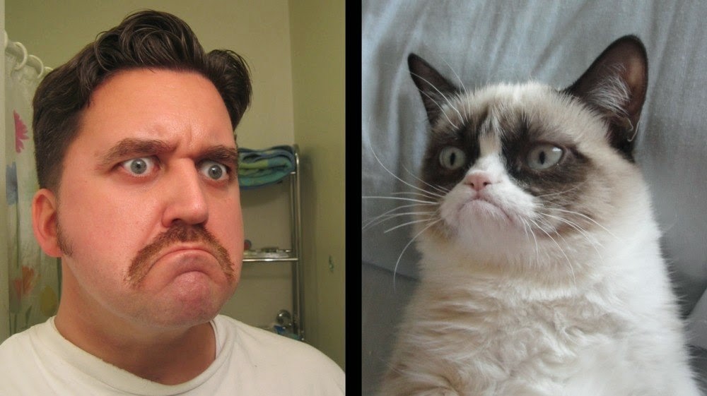 Kelebihan menjaga kucing Kelebihan menjaga kucing